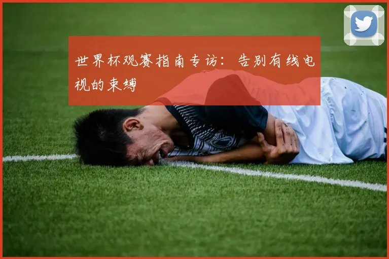 世界杯观赛指南专访：告别有线电视的束缚