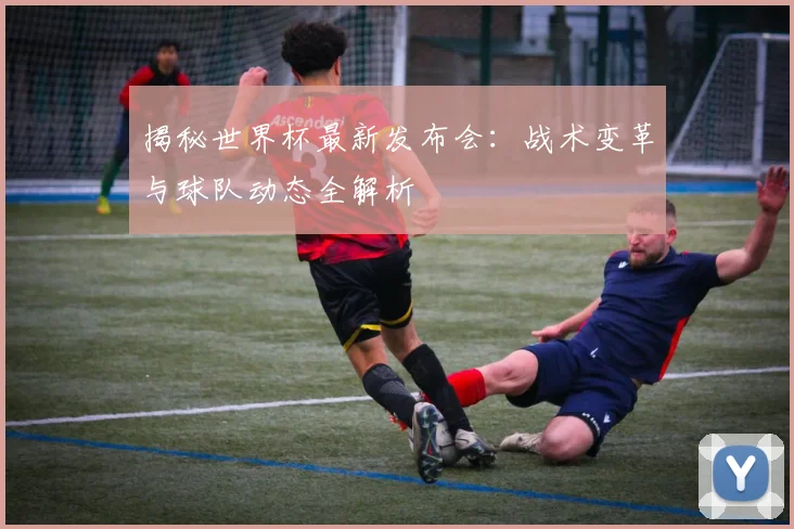 揭秘世界杯最新发布会：战术变革与球队动态全解析