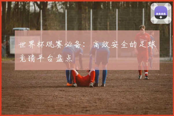 世界杯观赛必备：高效安全的足球竞猜平台盘点