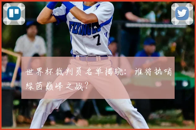 世界杯裁判员名单揭晓：谁将执哨绿茵巅峰之战？