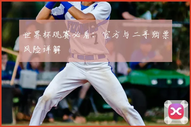 世界杯观赛必看：官方与二手购票风险详解