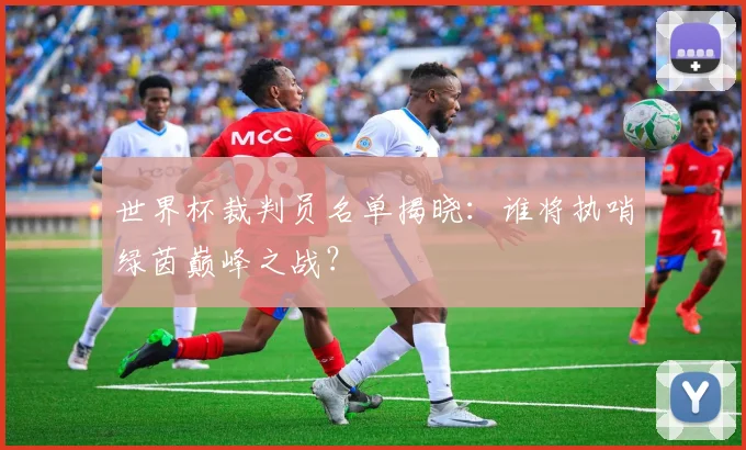 世界杯裁判员名单揭晓：谁将执哨绿茵巅峰之战？