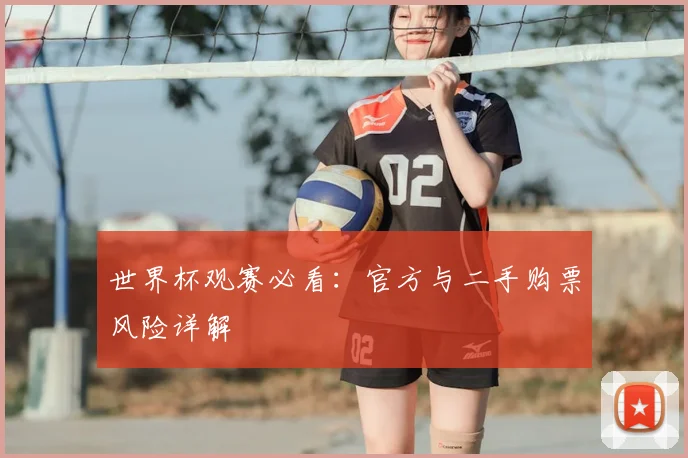 世界杯观赛必看：官方与二手购票风险详解